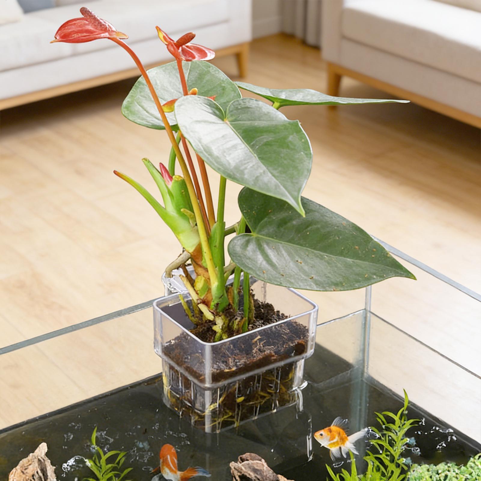 Aquarium Fish Only - Cesta para Plantas de Acuario, Decoración