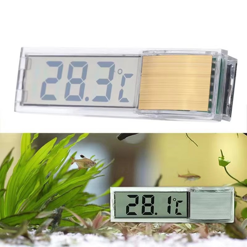 Aquarium Fish Under 1 Inch - 1-5 unidades: termómetro electrónico LCD digital