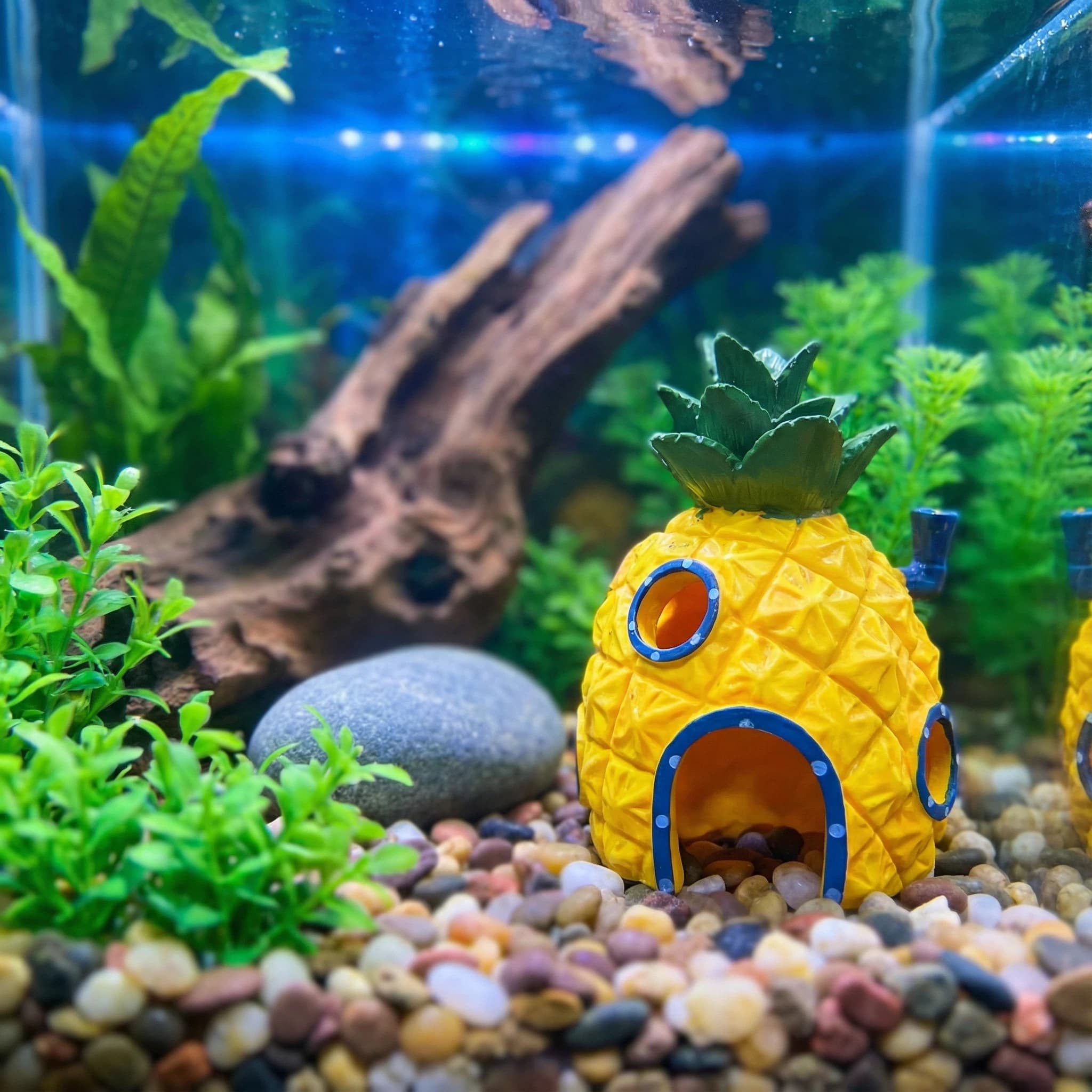Aquarium Fish Hideout - Decoración para Acuario Pineapple House, Cueva