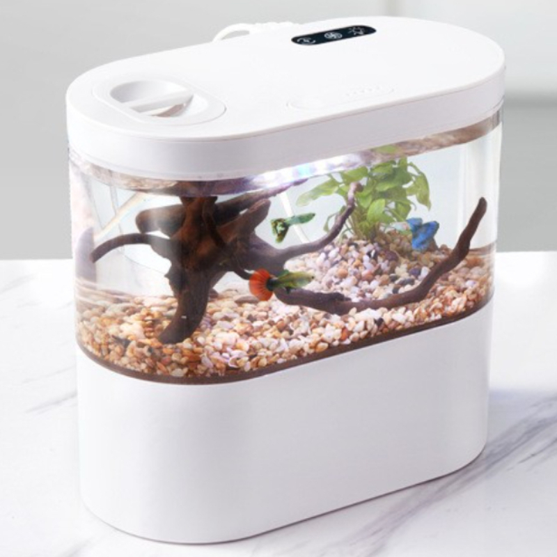 Aquarium Goldfish - Mini Acuario de Escritorio Creativo con