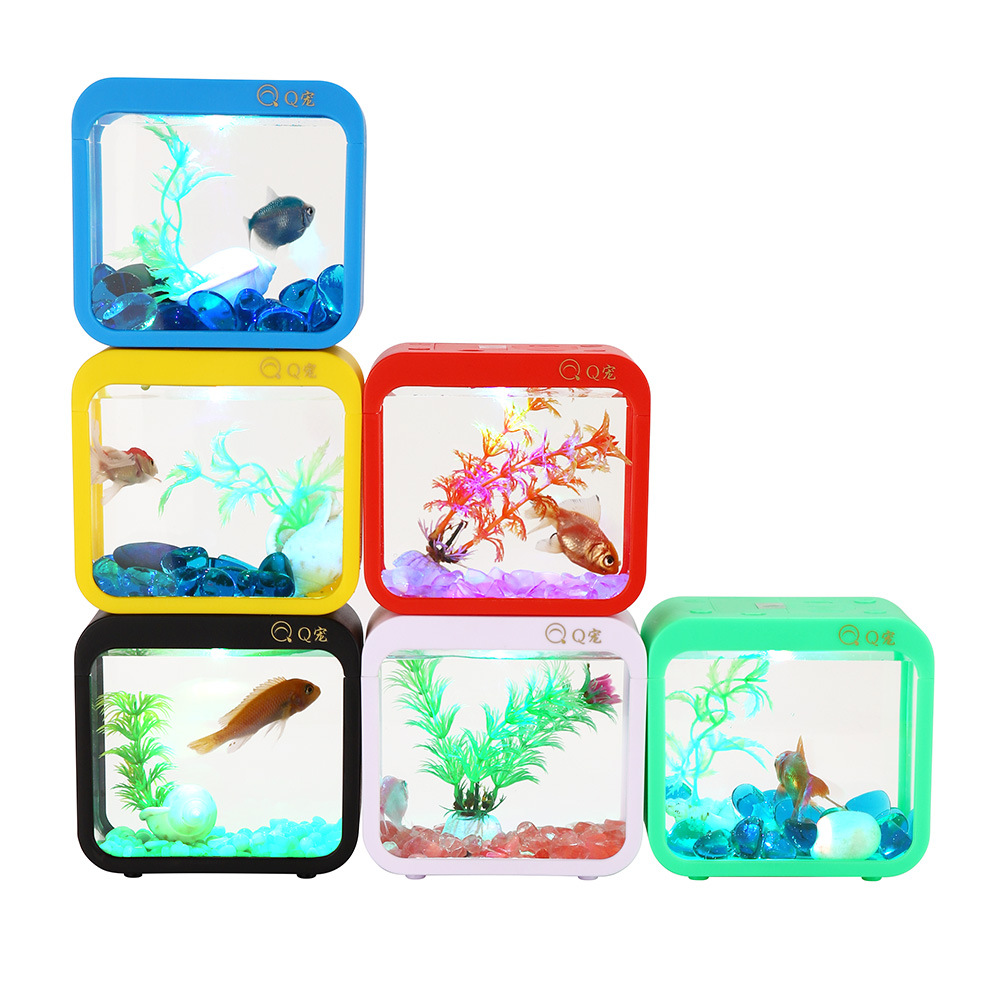 Caja Betta creativa colorida c - Aquarium Goldfish reseña y precio