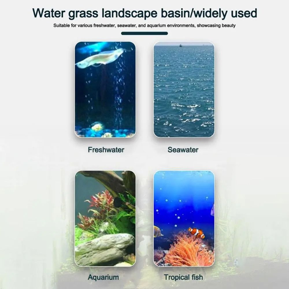 10 Macetas Transparentes para  - Aquarium Fish Hideout reseña y precio