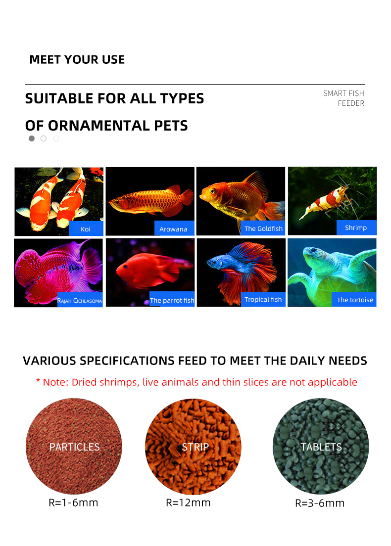 Máquina automática de alimenta - Aquarium Fish Koi reseña y precio