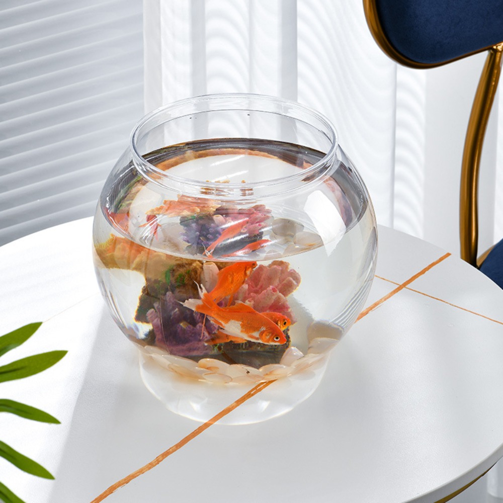Pecera redonda transparente de - Aquarium Goldfish reseña y precio