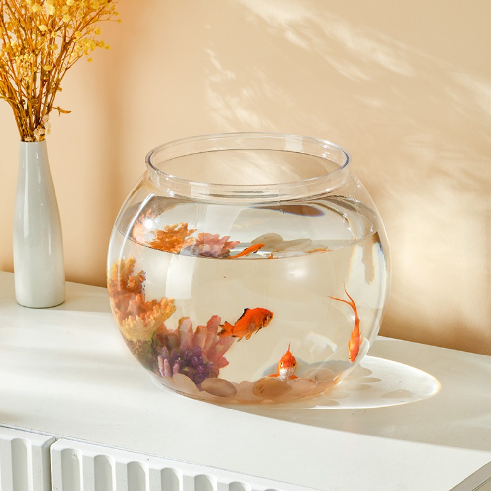Pecera redonda transparente de - Aquarium Goldfish reseña y precio