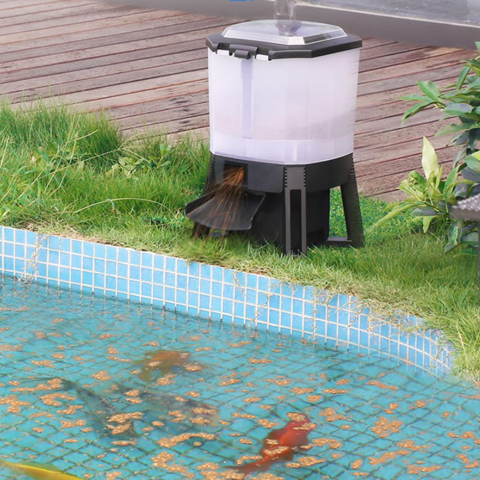 Alimentador de acuario automát - Aquarium Fish Koi reseña y precio