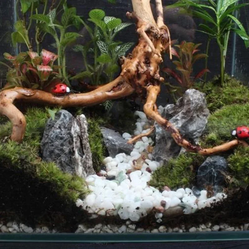Tronco de árbol Natural de mad - Aquarium Fish Hideout reseña y precio