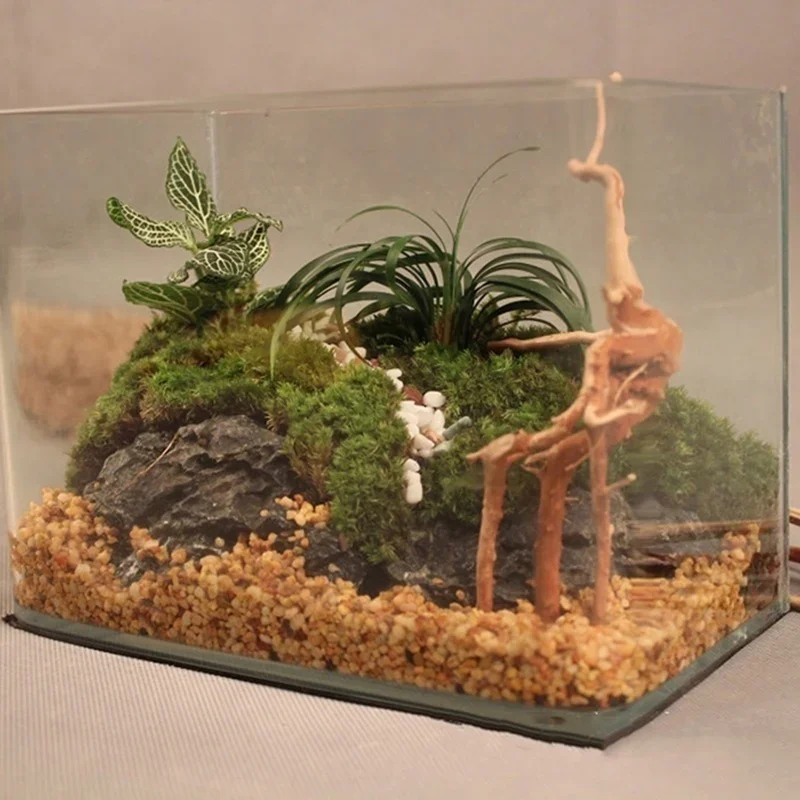 Tronco de árbol Natural de mad - Aquarium Fish Hideout reseña y precio