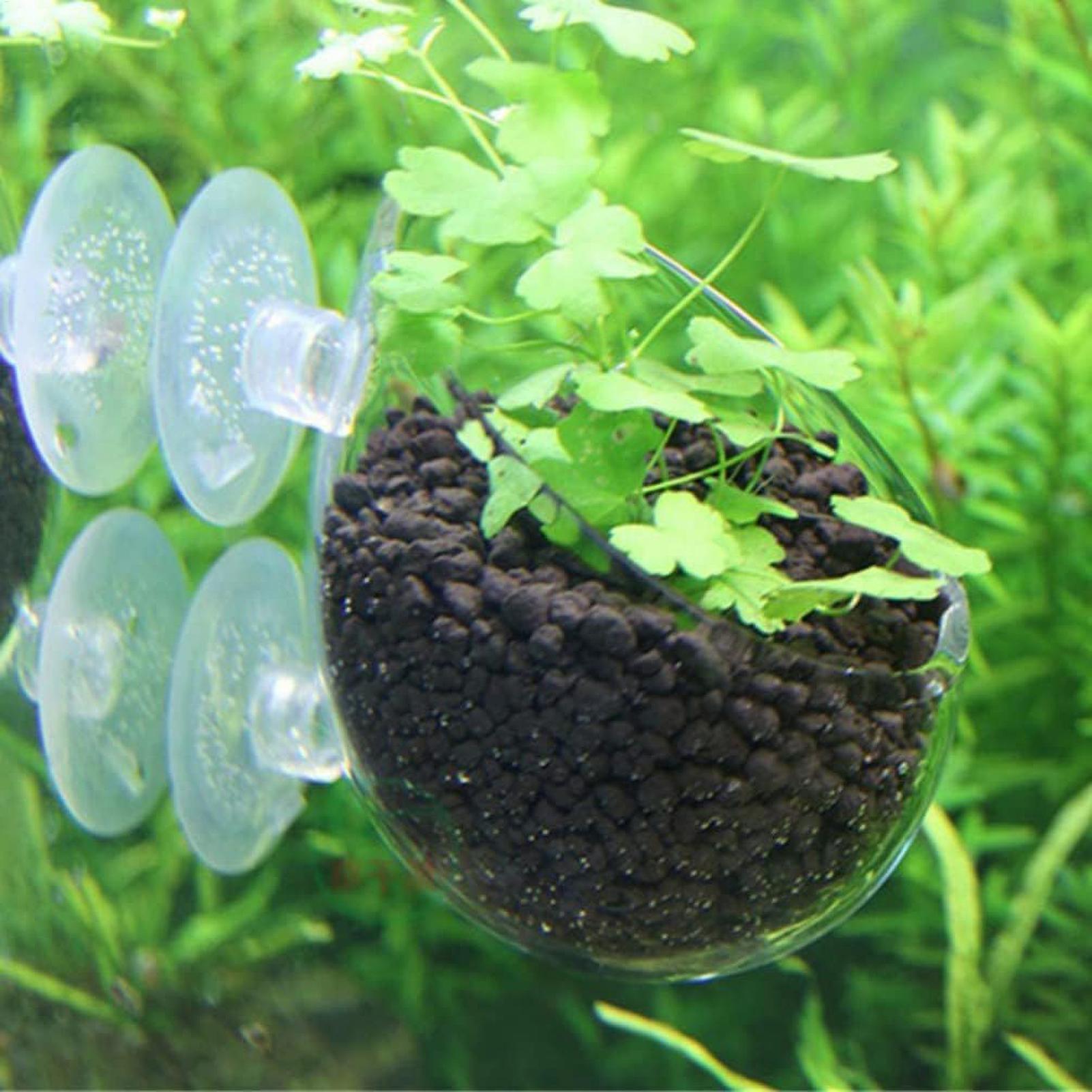 Soporte para Plantas de Acuari - Aquarium Fish Only reseña y precio