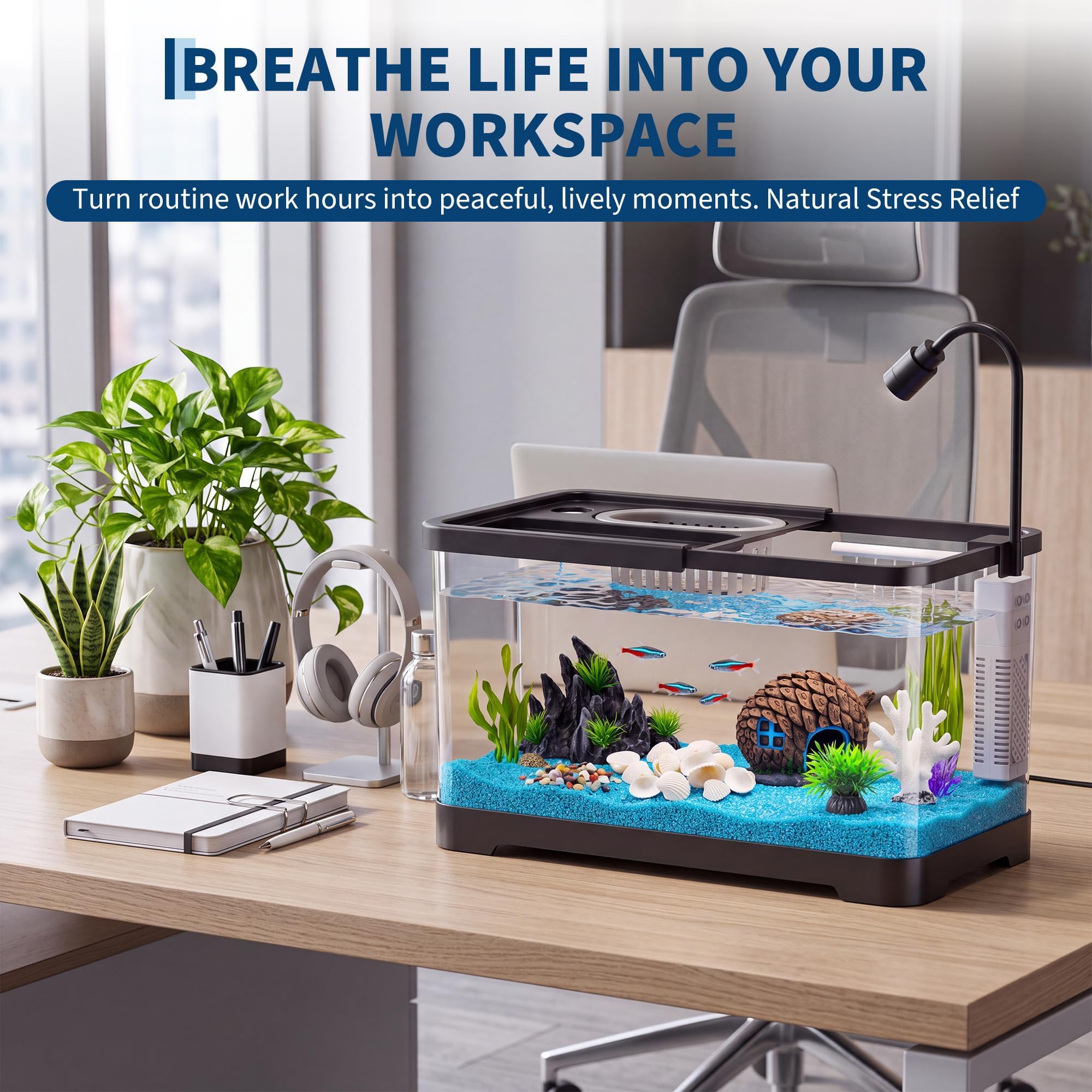 Kit de Inicio para Pecera con  - Aquarium Goldfish reseña y precio