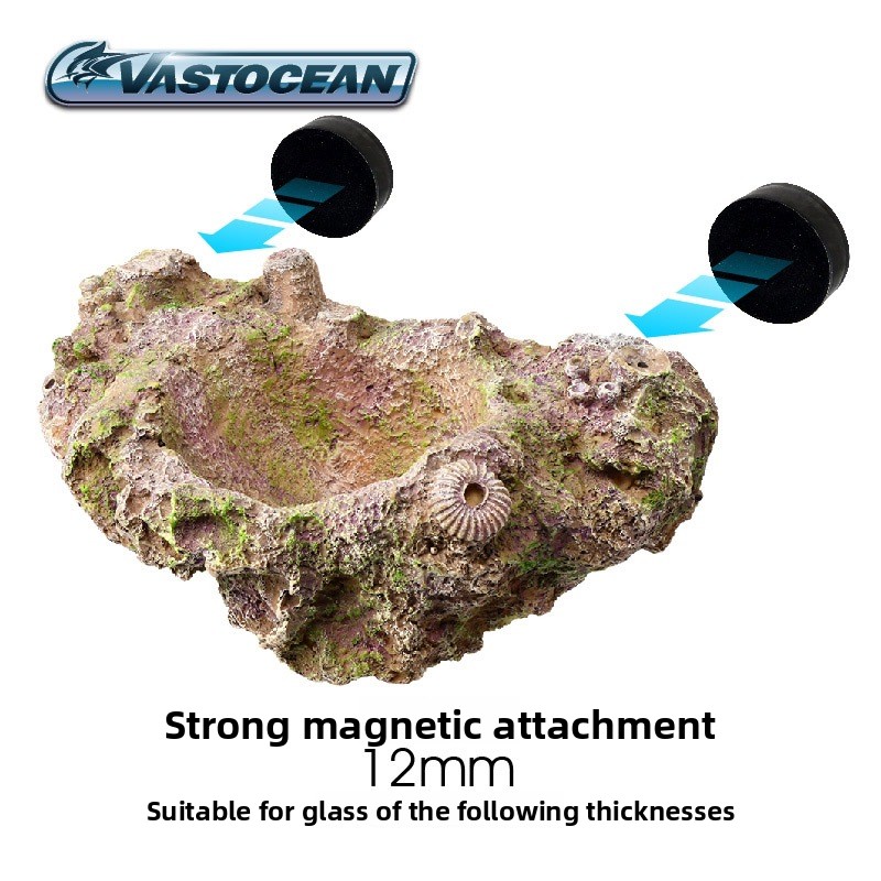 VASTOCEAN Soporte magnético pa - Aquarium Fish Hideout reseña y precio