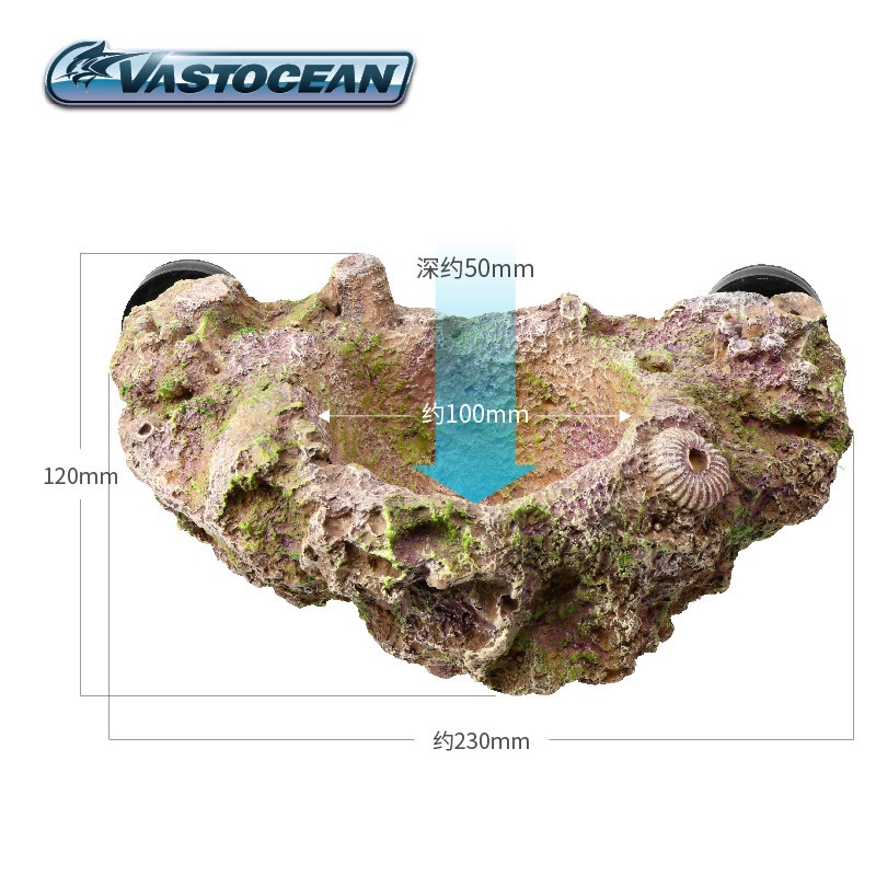 VASTOCEAN Soporte magnético pa - Aquarium Fish Hideout reseña y precio