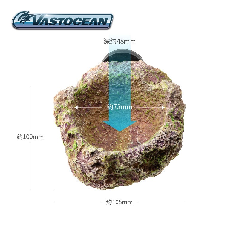 VASTOCEAN Soporte magnético pa - Aquarium Fish Hideout reseña y precio