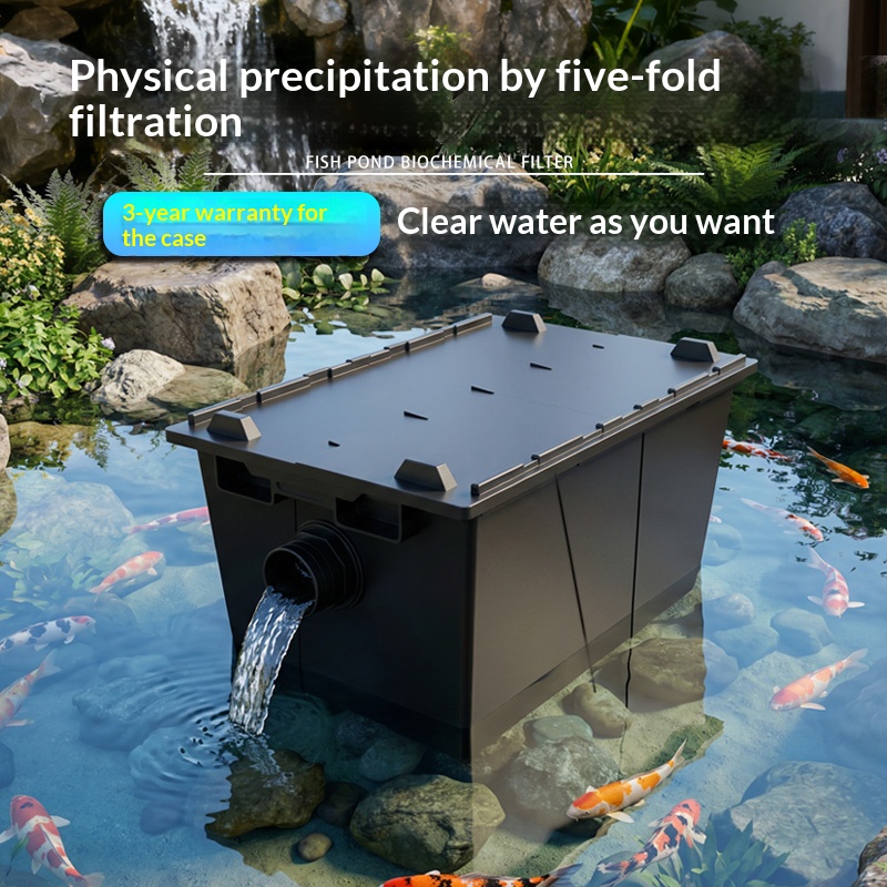 Acuario, estanque para peces,  - Aquarium Fish Koi reseña y precio