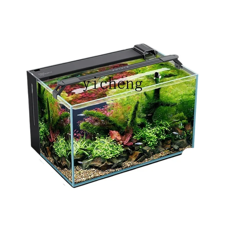 ZC 2.a generación filtro trase - Aquarium Goldfish reseña y precio
