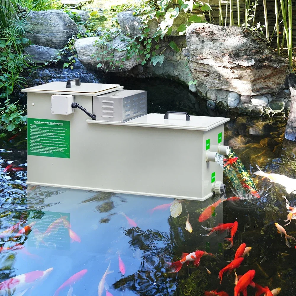 Qlozone-filtro pequeño para es - Aquarium Fish Koi reseña y precio