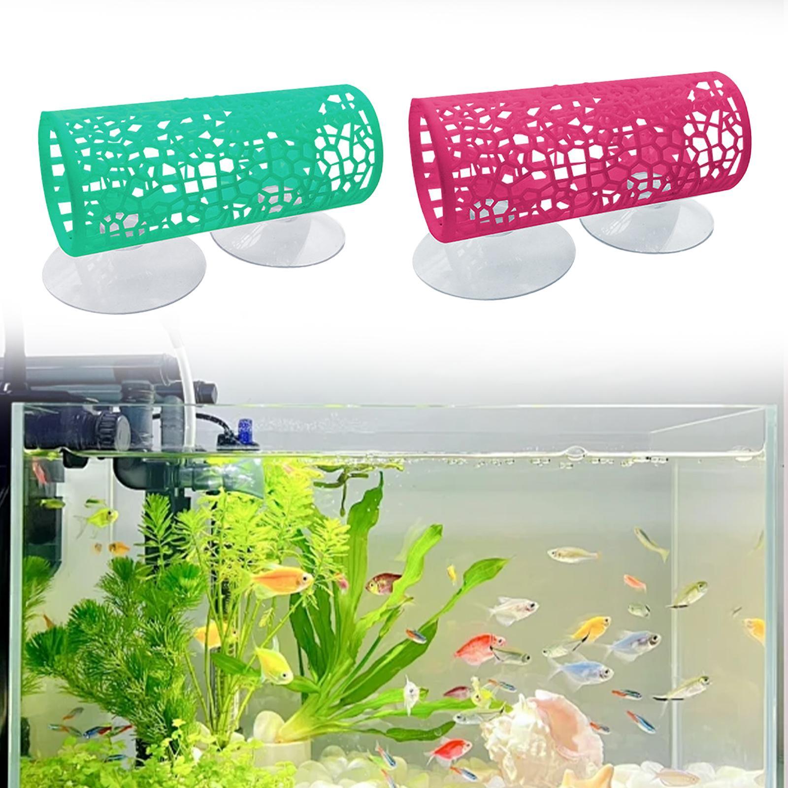 Túnel para Betta, Juguete para - Aquarium Fisch reseña y precio