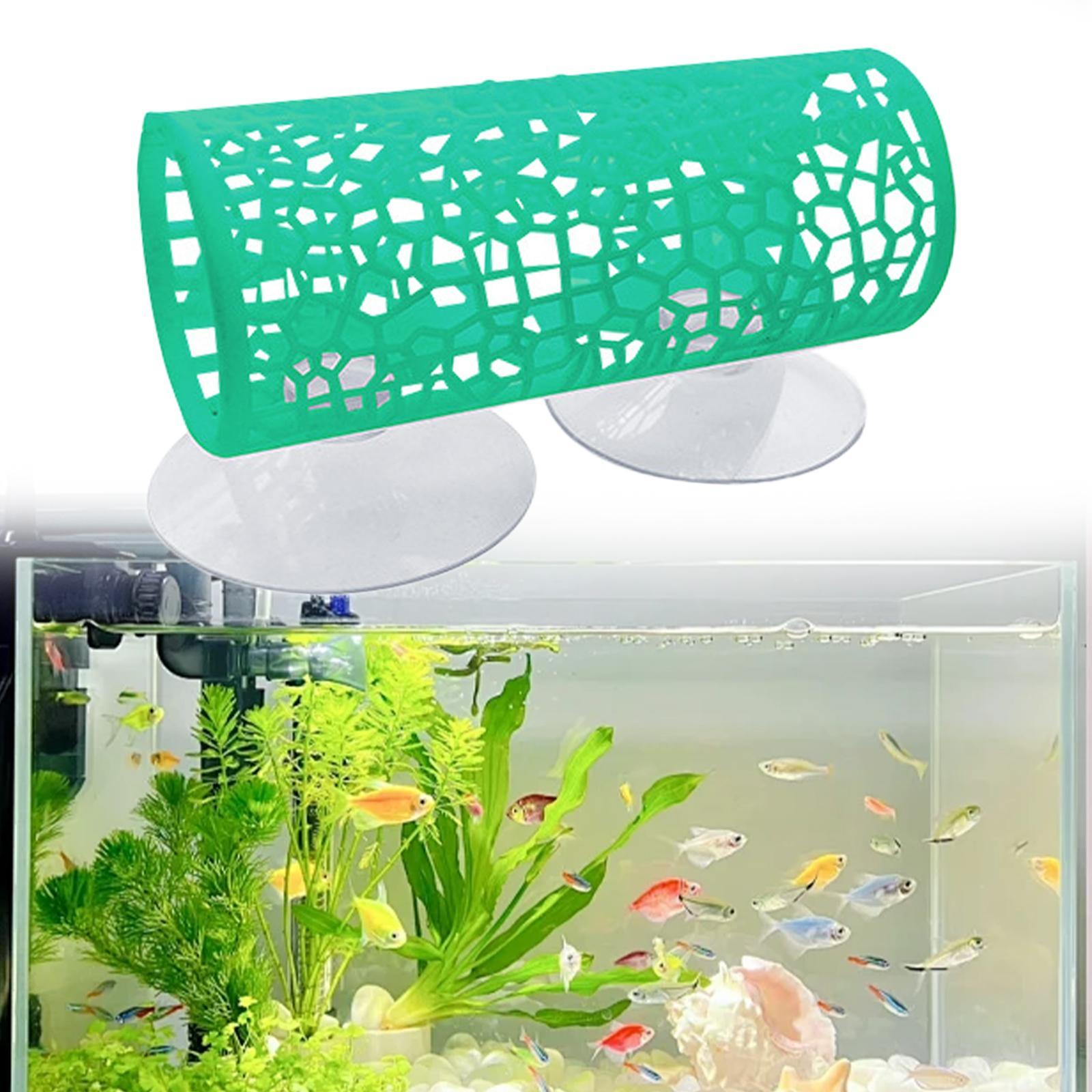 Túnel para Betta, Juguete para - Aquarium Fisch reseña y precio