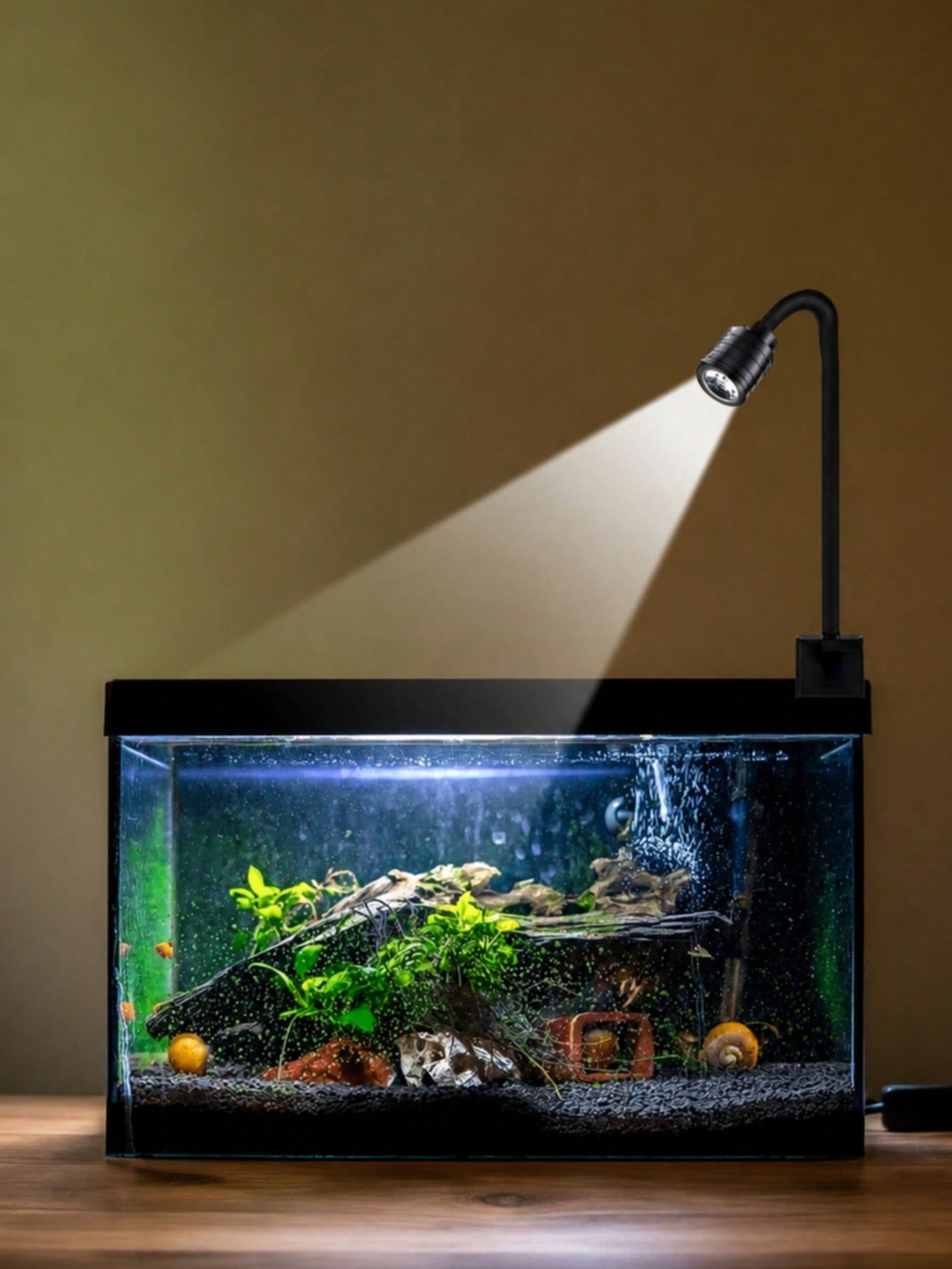 Luces USB para acuario, focos  - Aquarium Goldfish reseña y precio