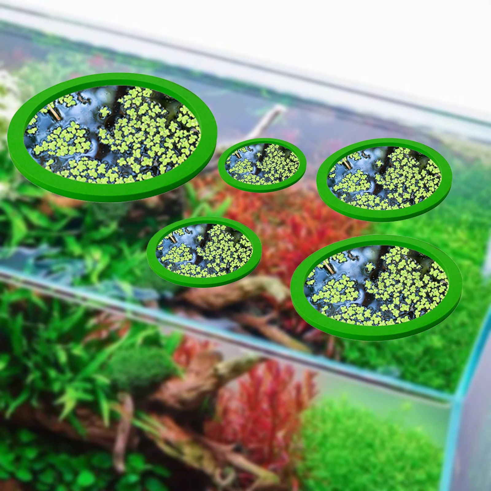 5 uds EVA anillo de alimentaci - Aquarium Fish Marine reseña y precio