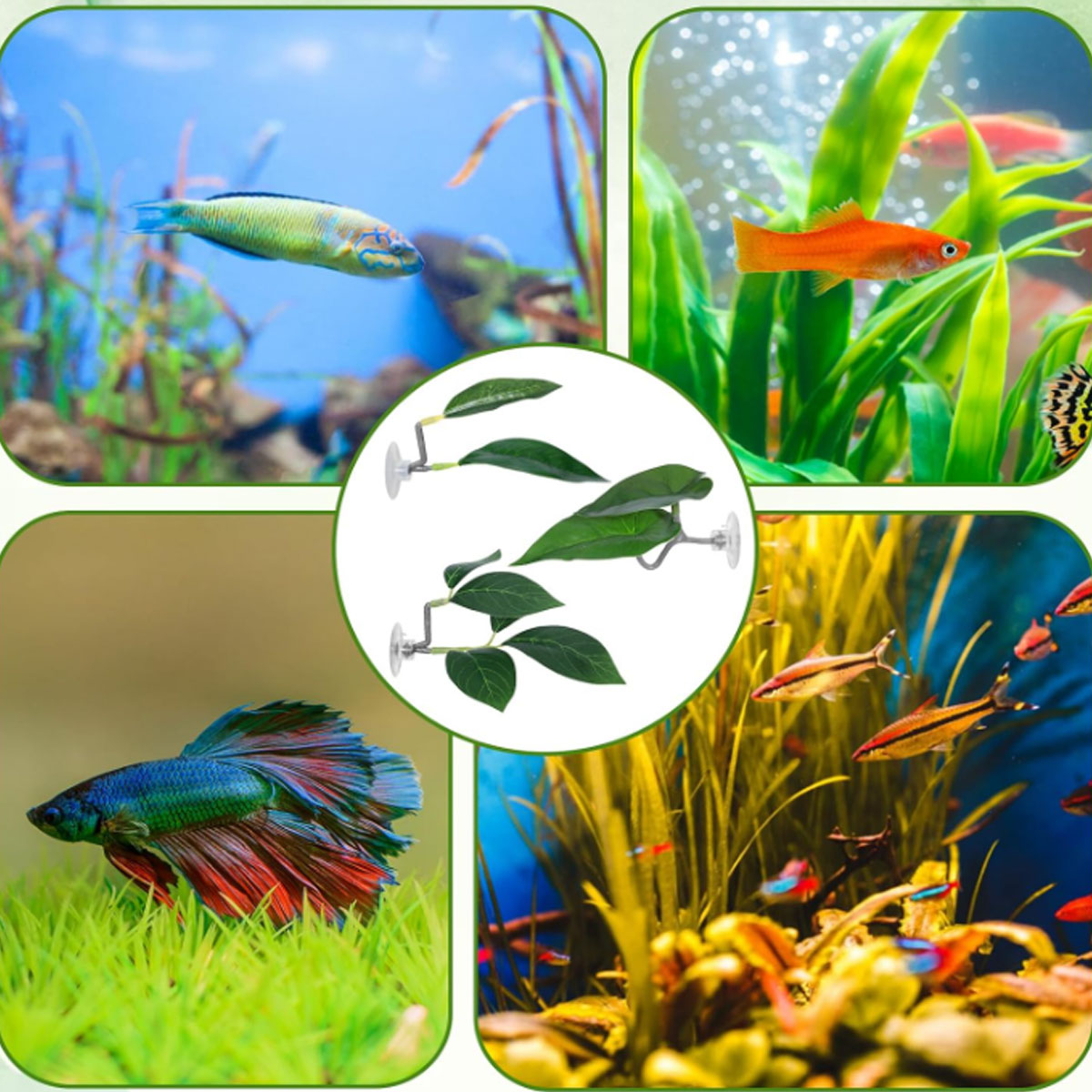 Hamaca para peces Betta, decor - Aquarium Fish Only reseña y precio