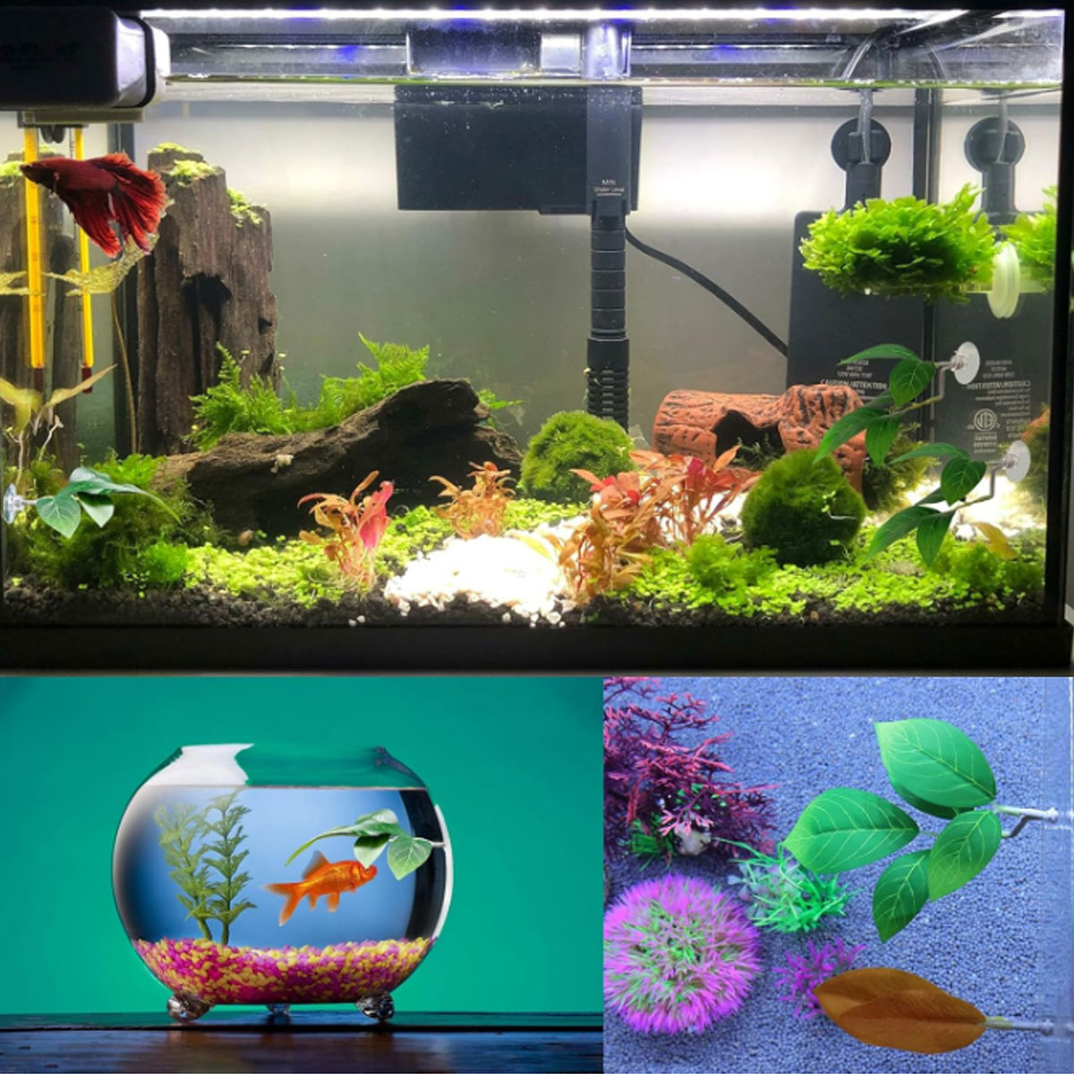 Hamaca para peces Betta, decor - Aquarium Fish Only reseña y precio