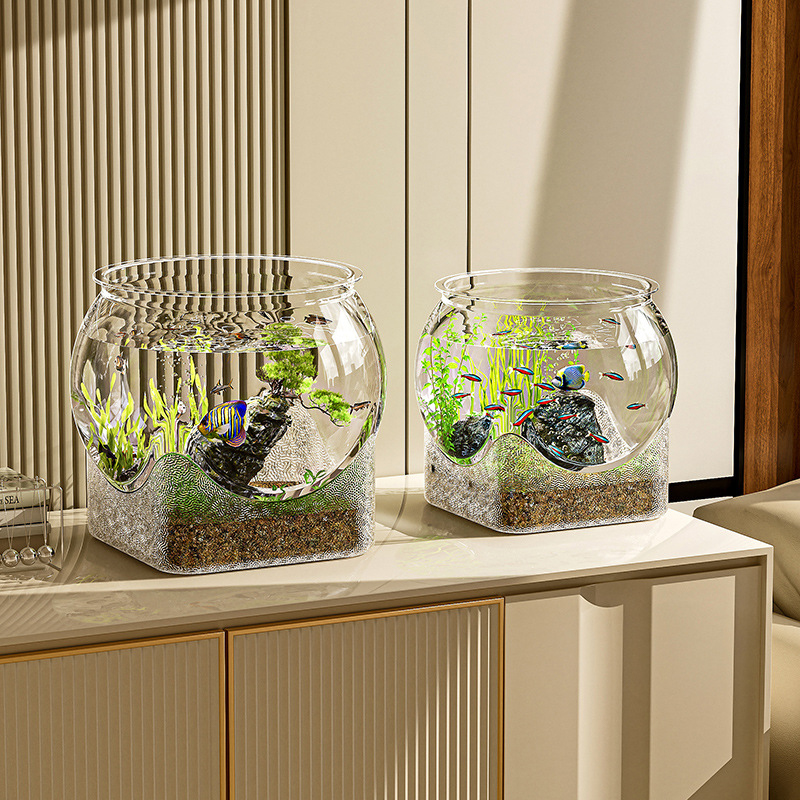 Acuario para pecera, transpare - Aquarium Goldfish reseña y precio