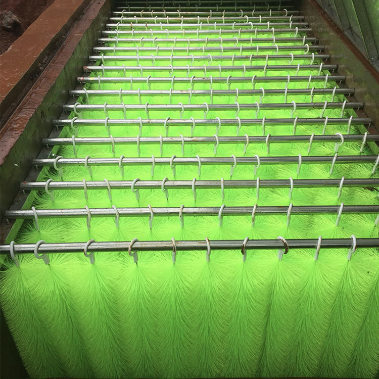 Cepillo de Filtro para Estanqu - Aquarium Fish Koi reseña y precio