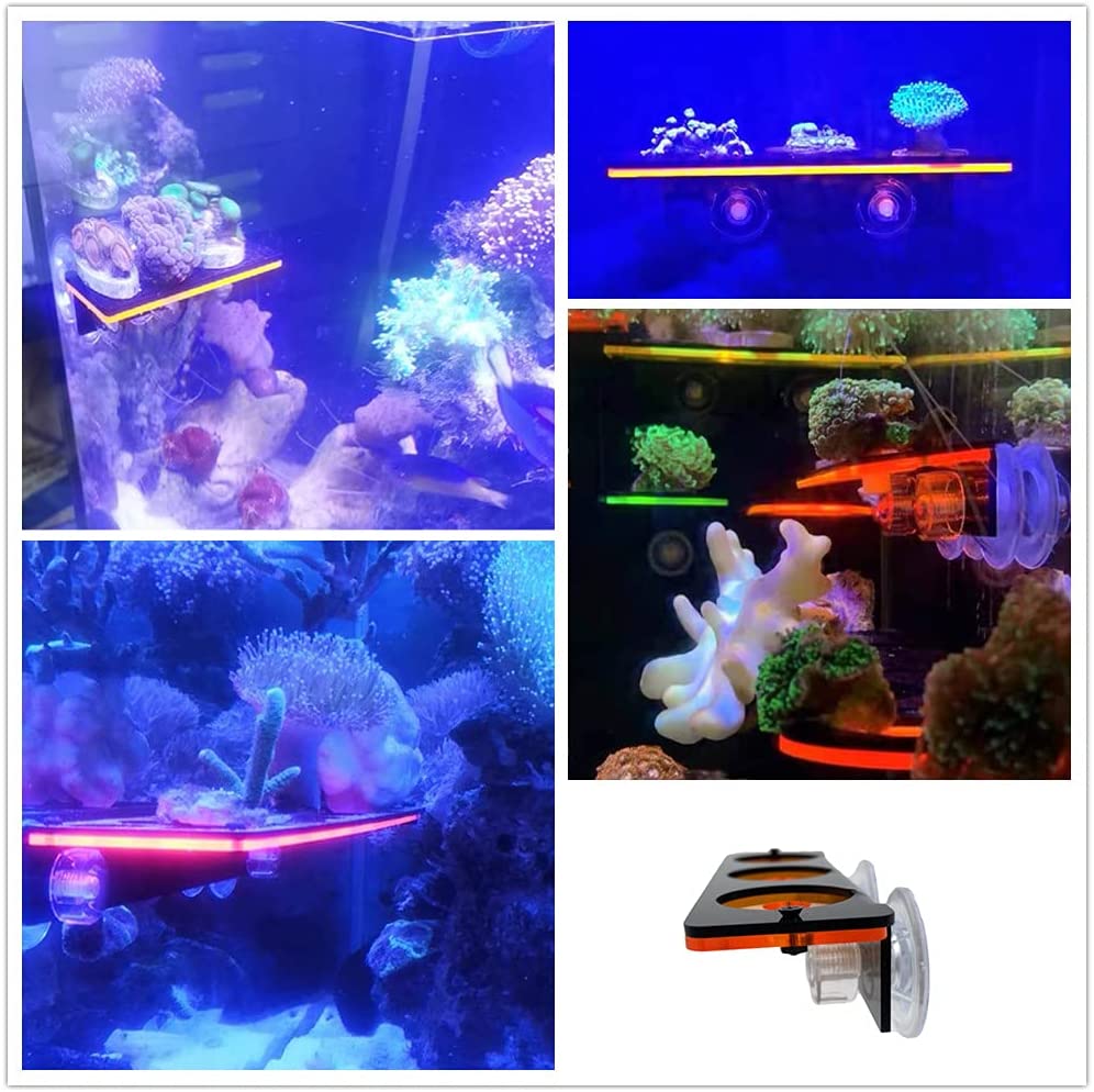 Soporte de enchufe de Coral fl - Aquarium Fish Only reseña y precio