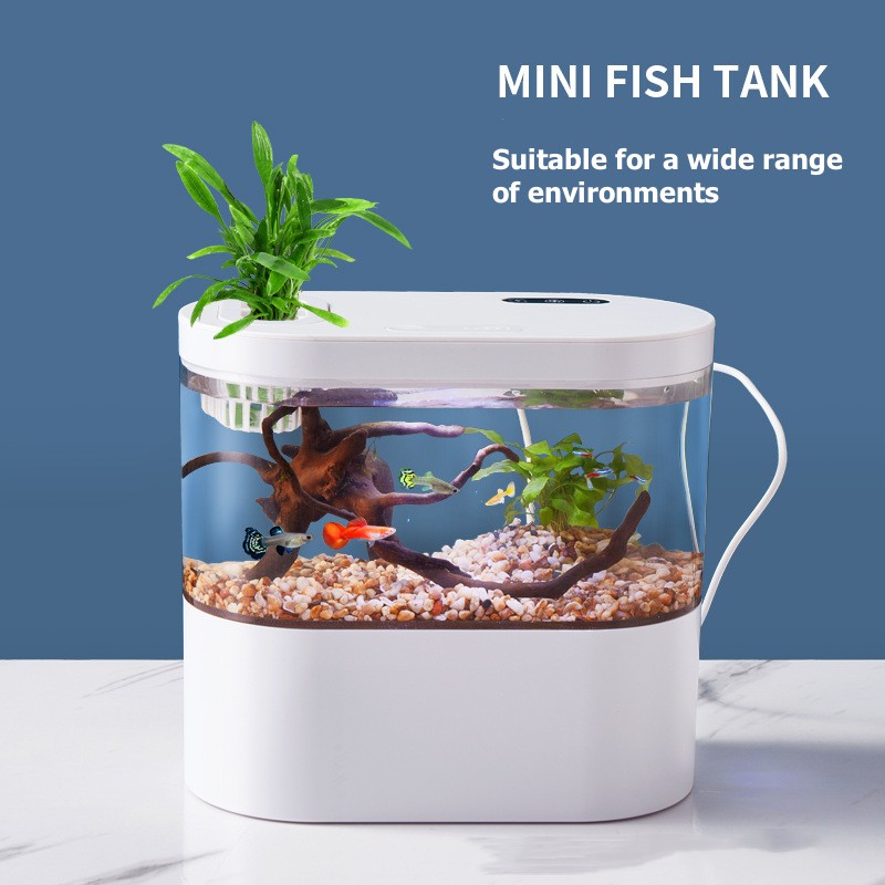 Mini Acuario de Escritorio Cre - Aquarium Goldfish reseña y precio