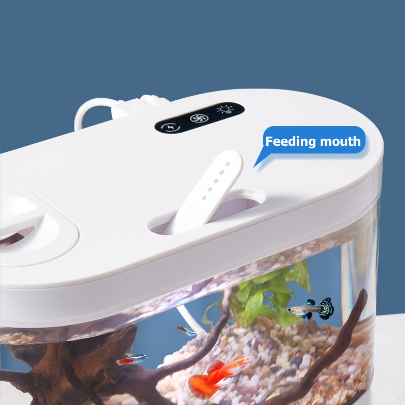Mini Acuario de Escritorio Cre - Aquarium Goldfish reseña y precio