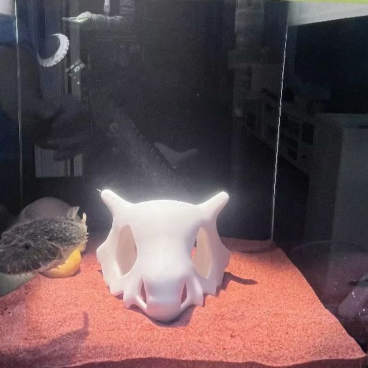 Hideout de cueva Hiden de rept - Aquarium Fish Hideout reseña y precio