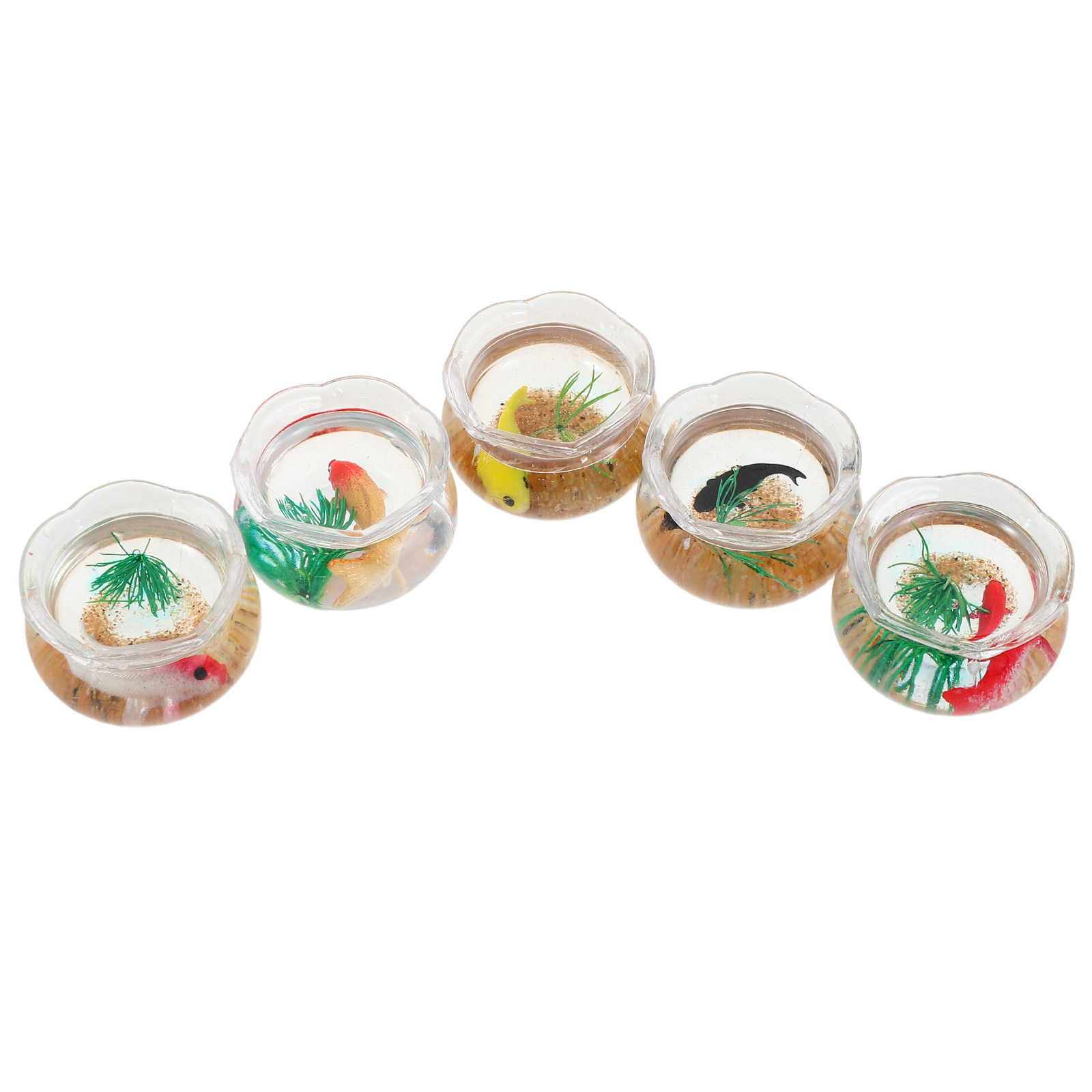 5 unidades de mini pecera con  - Aquarium Fish Koi reseña y precio
