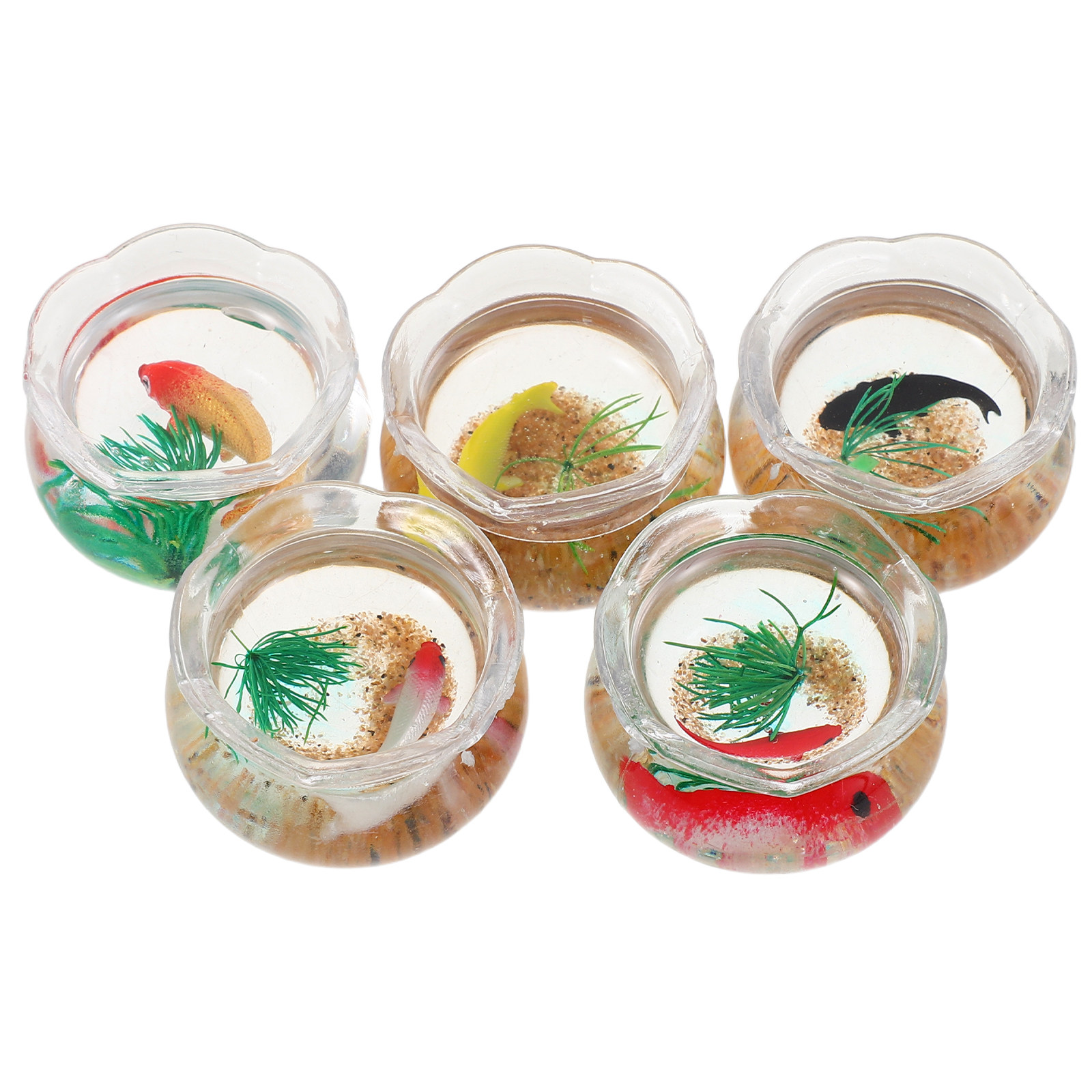 5 unidades de mini pecera con  - Aquarium Fish Koi reseña y precio